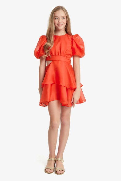 Enya Organza Mini Dress by Bardot