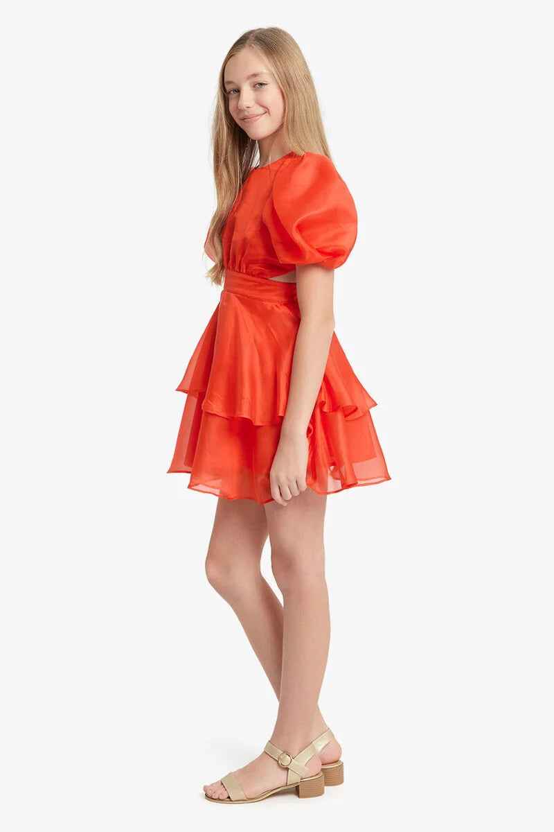 bardot organza mini dress Bardot Eva Organza Mini Dress