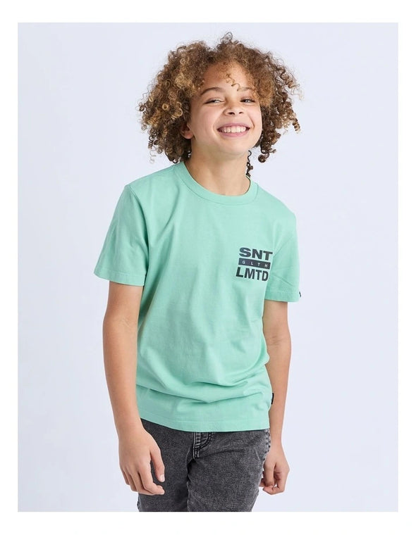 Gradient Tee by St Goliath